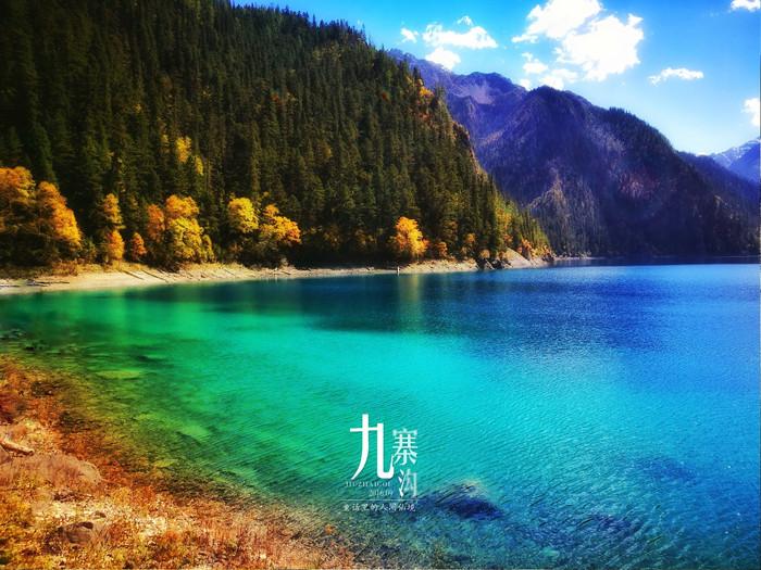 专业知识星球平台-大葱怕冻吗?储存大葱的最佳温度是多少?,深度学习交流分享